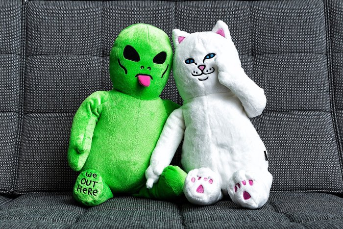 Плюшевый кот и пришелец RipnDip