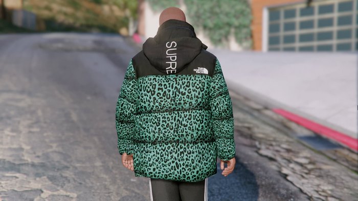 Куртка The North Face x Supreme