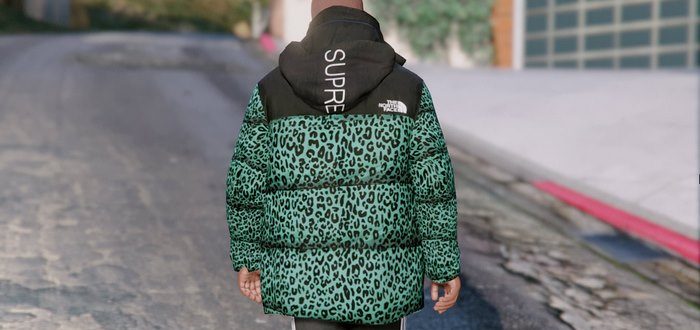 The North Face 1