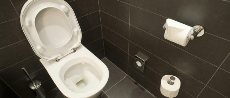 Sredstvo dlya unitaza osvezhitel. Kak sdelat ego svoimi rukami