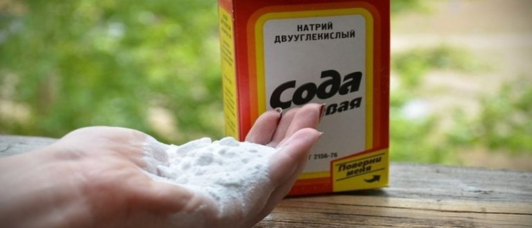 Vyvesti pyatno sodoi